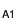 A1